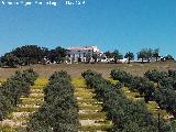 Cortijo Cerca de Lázaro. 
