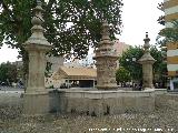 Fuente de la Plaza del Cristo de Gracia. 