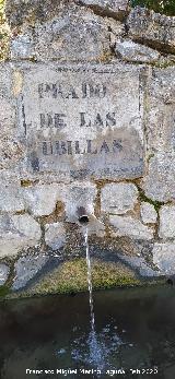 Fuente del Prado de las Ubillas. Cartel y ca�o