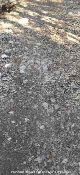 Camino del Poyo de las Palomas. Restos del empedrado