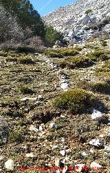 Camino del Poyo de las Palomas. Restos del antiguo camino en su parte alta