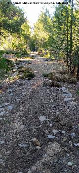 Camino del Poyo de las Palomas. Camino antiguo