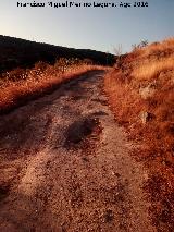 Camino de la Hila. 