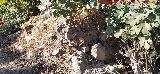 Caracol Chimenea. Parte trasera