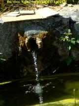 Pilar de la Montesina. Caño