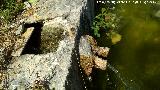 Pilar de la Montesina. Arqueta de registro y caño