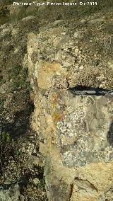 Castell�n de Caviedes. Muralla