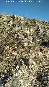 Castell�n de Caviedes. Muralla