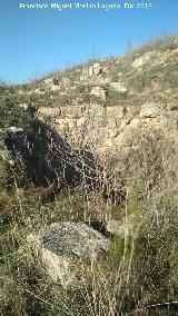 Castell�n de Caviedes. Hueco con �rbol