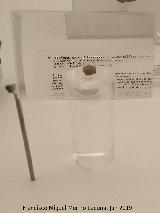 Yacimiento de Barranco León. Molar de homínido 1.400.000 a.C. Museo Arqueológico de Granada