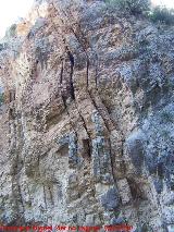 Cañón del Quiebrajano. Estratos de caliza verticales