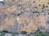 Cañón del Quiebrajano. Estratos verticales