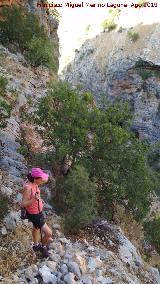 Cañón del Quiebrajano. 
