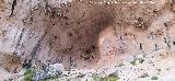 Pinturas rupestres de la Cueva de los Molinos. Abrigo