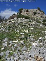 Muralla del Cerro Veleta. Bastión