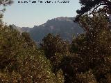 Morrón del Poyo de los Robles. 