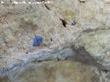 Pinturas rupestres de la Cueva de las Frías. Puntos