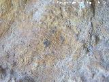 Pinturas rupestres de la Cueva de las Frías. Puntos
