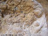 Pinturas rupestres de la Cueva de las Frías. Puntos