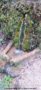 Fuente del Empalme del Valle. 
