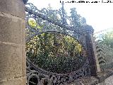 Casa de la Calle Julio Burell nº 26. Reja de hierro fundido