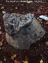 Caras de la Antigua Prisión. 