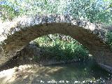 Puente romano del Cañamares. 