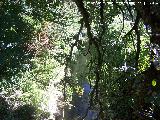 Río Cañamares. 