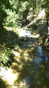 Río Cañamares. A su paso por el Molino Gris