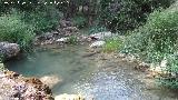 Río Cañamares. Por el final del sendero Río Cañamares