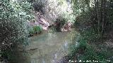 Río Cañamares. 
