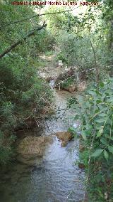 Río Cañamares. 