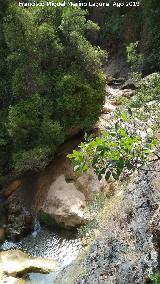 Río Cañamares. 