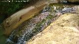 Río Cañamares. 