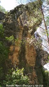 Río Cañamares. Paredes rocosas