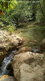 Río Cañamares. 