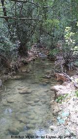 Río Cañamares. 