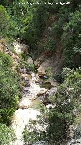 Río Cañamares. 