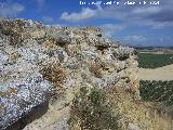 Castellón. Muralla