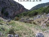 Puente de Otiñar. 