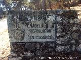 Peña del Águila. Cartel
