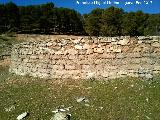 Era Alta IV. Muro de contención