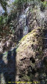 Parque Natural del Monasterio de Piedra. Cascada Sombría. 