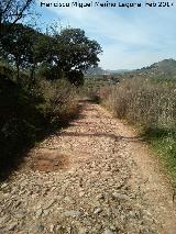 Calzada de San Blas. 