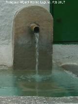 Fuente de San Francisco. Caño