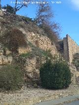 Torre�n de Saludeja IV. 