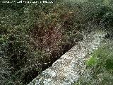 Noria de Garzón. Alberca