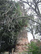 Castillo de Peñolite. 
