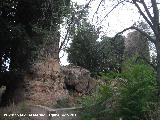 Castillo de Peñolite. 