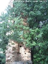 Castillo de Peñolite. 